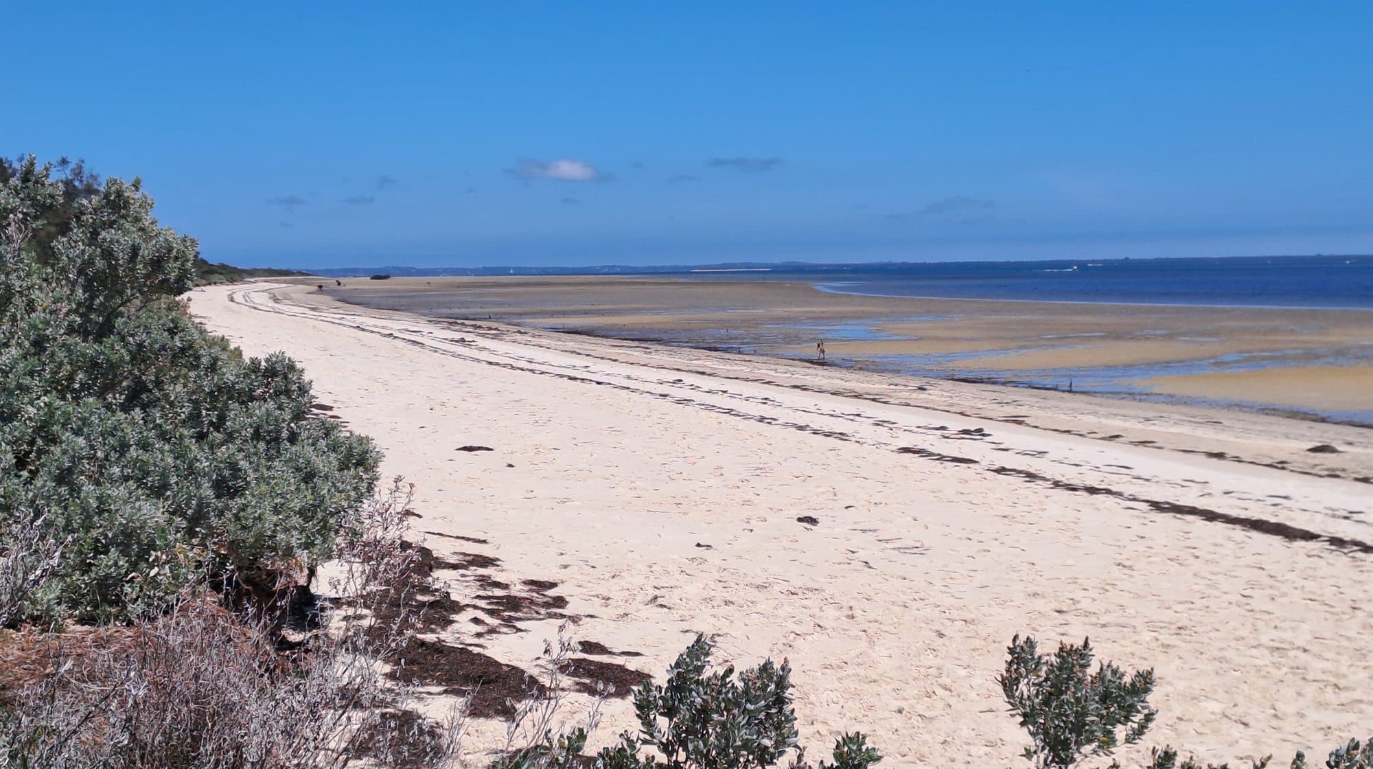 澳大利亞 French Island 的 Fairhaven 海灘在低潮時露出寬闊潮間帶